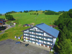 Apartmá Stavidlový vrch, Vrchlabi